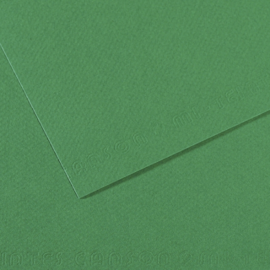 صورة ورق رسم محبب اخضر 220 جرام FOLIA-70×50