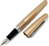 صورة قلم حبر معدني اطار ذهبي بايلوت PILOT FPMR3MFL+Z-CS-MR2-S1	