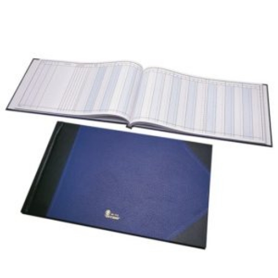 صورة سجلات يومية أمريكية 20 خانة مزدوج  ملونة  رقم 920